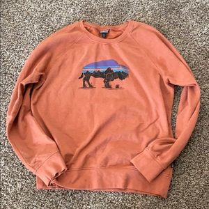 Patagonia Organic Cotton Bison Sweater